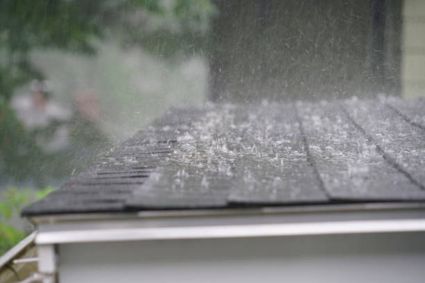 Best Steel Roofing  in Fountain Hill, PA